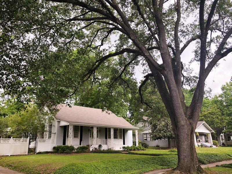 Historic homes for sale in laurel ms 